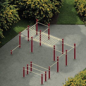 Outdoor Gym Combined Fitness Equipment Monkey Bars and Calisthenics Park