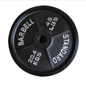 Standard Gym Cast Iron Bumper Plates 45LB