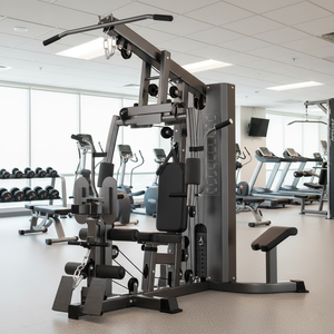 APEXHQ All-In-One Gym Equipment Workout Station